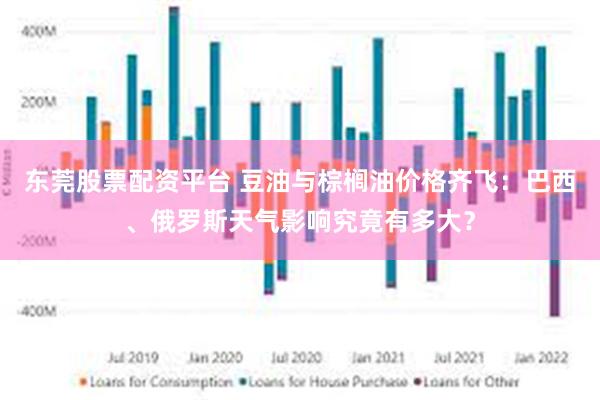 东莞股票配资平台 豆油与棕榈油价格齐飞：巴西、俄罗斯天气影响究竟有多大？