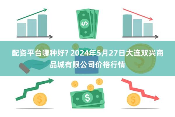 配资平台哪种好? 2024年5月27日大连双兴商品城有限公司价格行情