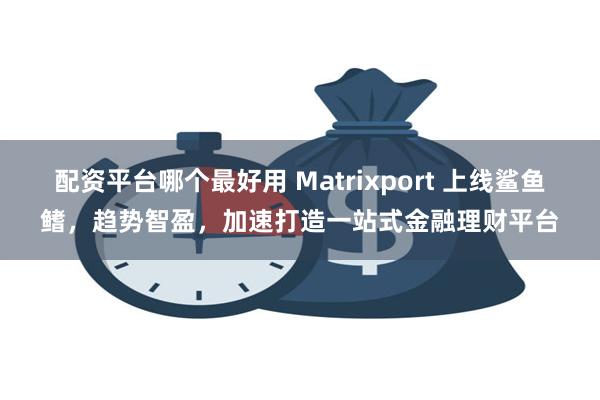 配资平台哪个最好用 Matrixport 上线鲨鱼鳍，趋势智盈，加速打造一站式金融理财平台