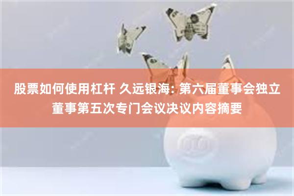 股票如何使用杠杆 久远银海: 第六届董事会独立董事第五次专门会议决议内容摘要