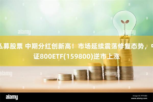 私募股票 中期分红创新高！市场延续震荡修复态势，中证800ETF(159800)逆市上涨