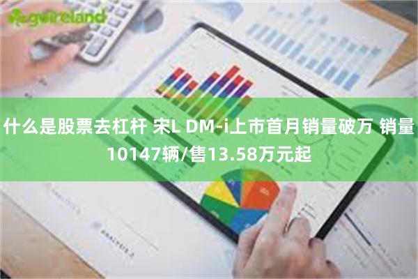 什么是股票去杠杆 宋L DM-i上市首月销量破万 销量10147辆/售13.58万元起