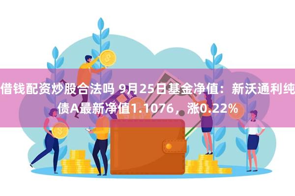 借钱配资炒股合法吗 9月25日基金净值：新沃通利纯债A最新净值1.1076，涨0.22%