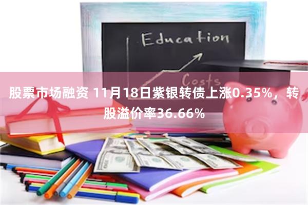 股票市场融资 11月18日紫银转债上涨0.35%，转股溢价率36.66%