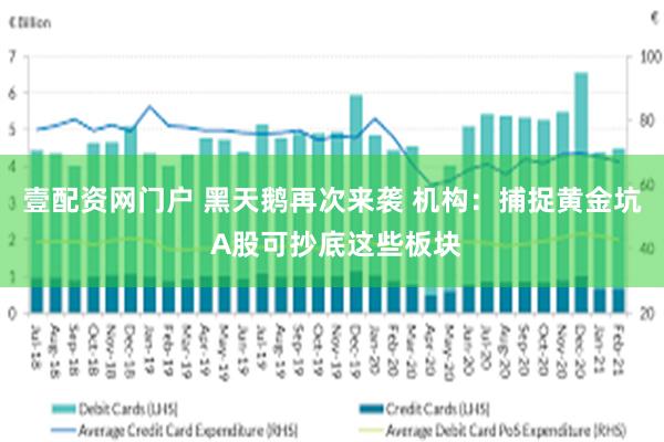 壹配资网门户 黑天鹅再次来袭 机构：捕捉黄金坑 A股可抄底这些板块